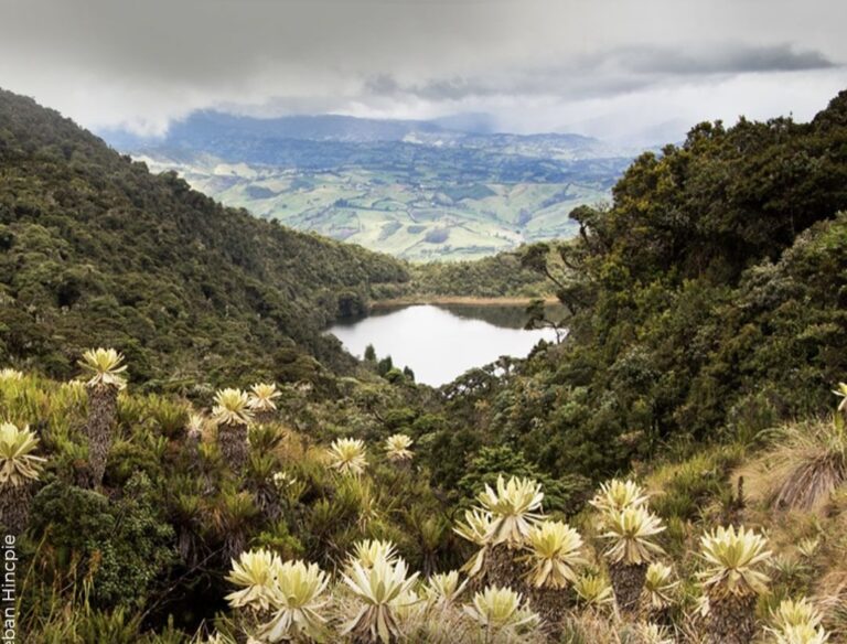 Laguna Y Páramo Del Galeras