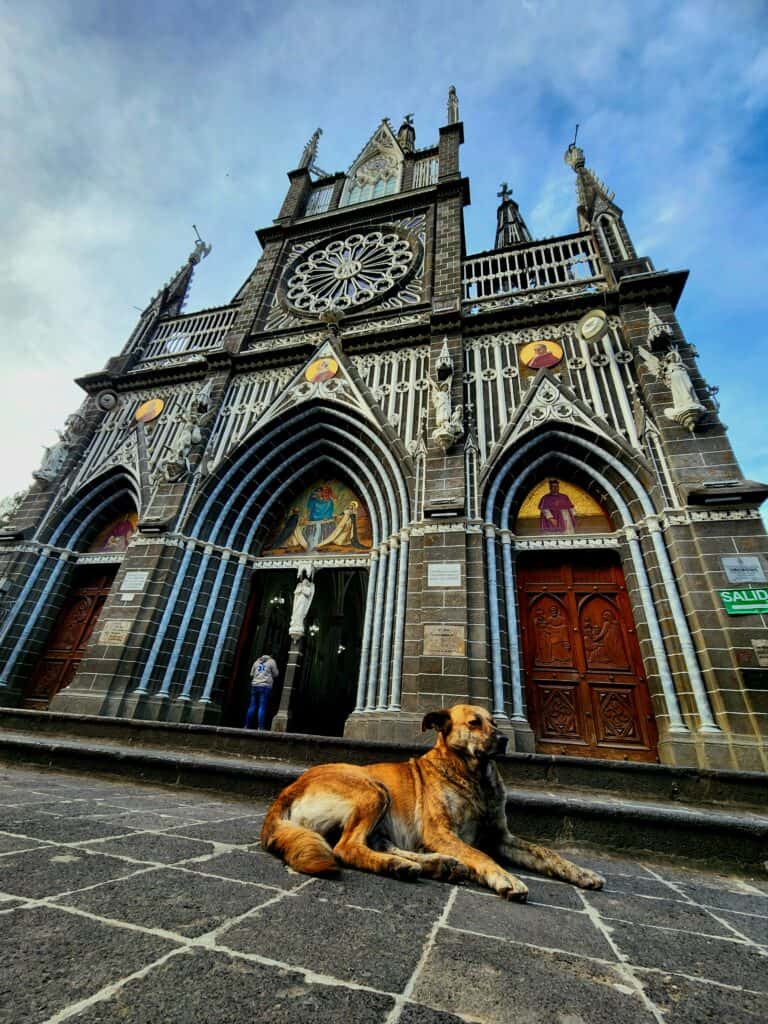 los perritos de las Lajas